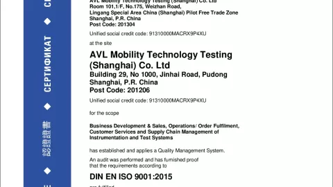 AVL Mobility Technology Testing (Shanghai) Co. Ltd_Pudong_ISO 9001_12 100 53729-02 TMS_EN